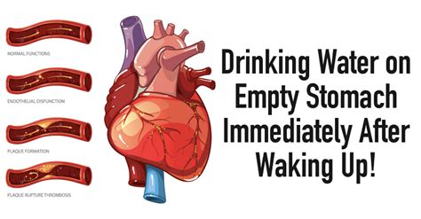 Why Drinking Water First Thing After Waking Has Huge Health Benefits
