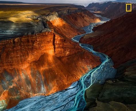 National Geographics 2017 Nature Photographer Of The Year Contest Winners