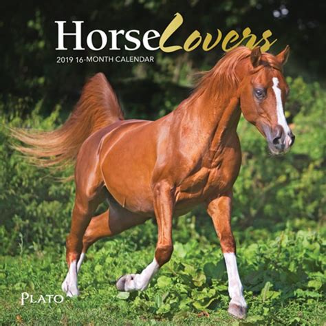 Horse Lovers 2019 Mini Wall Calendar Plato Calendars