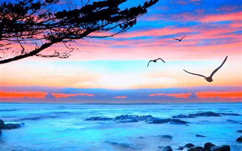 Ocean View Wallpapers Top Free Ocean View Backgrounds Wallpaperaccess