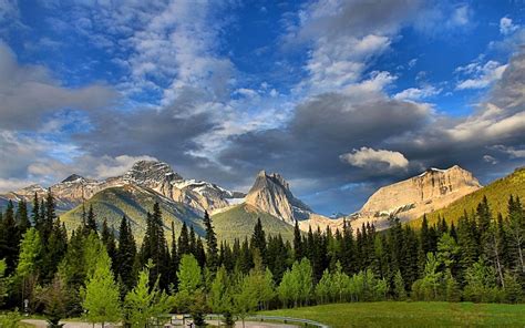 Berg Lougheed Alberta Kanada Kanadische Rocky Mountains Wald Bäume