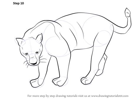 How To Draw A Panther Cartoon Drawings Of Animals Animal Drawings