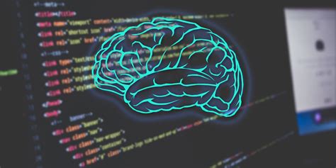 How Programming Affects Your Brain: 3 Big Truths According to Science
