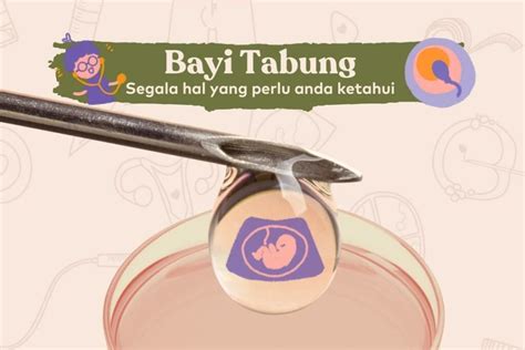 Tahap Perkembangan Embrio Pada Bayi Tabung Bocah Indonesia