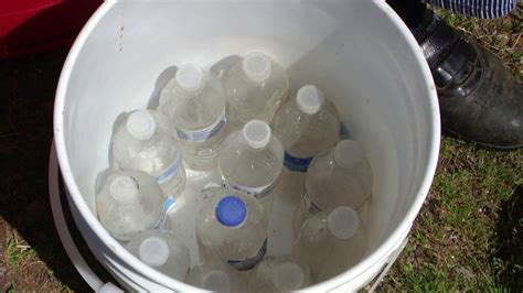 Using 5 Gallon Wick Buckets Ep 15 Bucket Gardening Self Watering