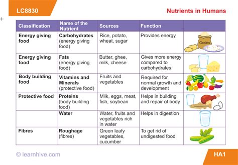 Eating habits reading comprehension grade/level: Learnhive | ICSE Grade 9 Biology Human Nutrition - lessons ...