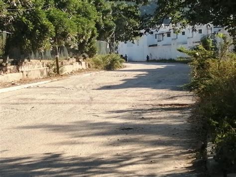 En malas condiciones el camino viejo a Playa Grande - Tribuna de la Bahía