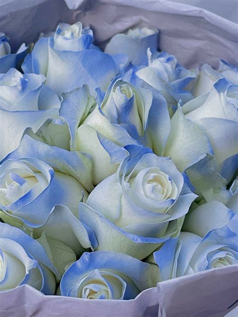 Blue Rose Luxury Flower Bouquets Blue Flower Arrangements Blue