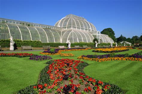 Kew Gardens Launches Annual Health Check Of The Worlds Plants In