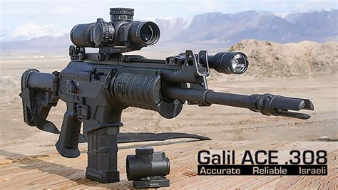 Galil Ace 308 Finally A 308 Battle Rifle Hog Hunter That Meets My