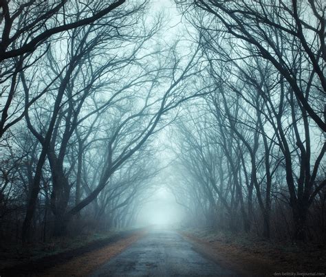 Mysterious Foggy Forest On The Island Of Khortytsia · Ukraine Travel Blog