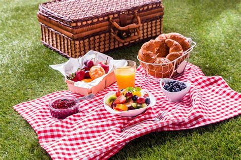 The aim of organising this picnic was to celebrate the first bastille day of the new millennium. Today is April 23rd -- it's National Picnic Day!