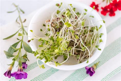 6 Delicious Ways To Eat Broccoli Sprouts Clean Eating Kitchen