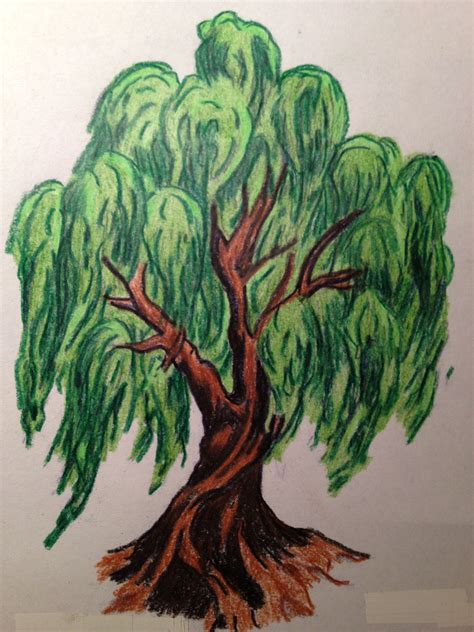 Weeping Willow Willow Tree Art Willow Tree Tattoos Tree Drawing
