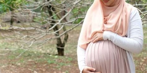 Pregnant Muslim Porn Telegraph