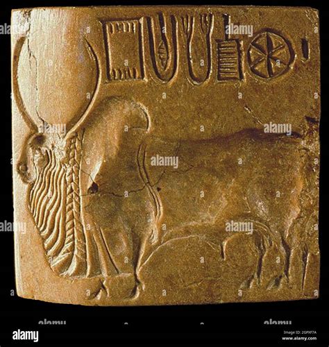 Zebu Bull Seal With Indus Script Found At Mohenjo Daro Indus Valley