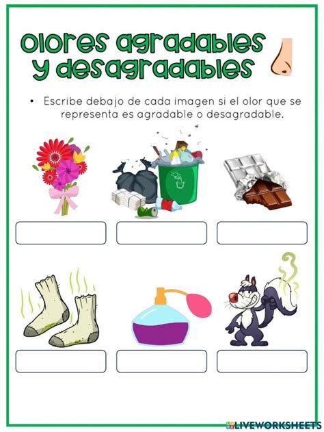 Olores Agradables Y Desagradables Interactive Worksheet