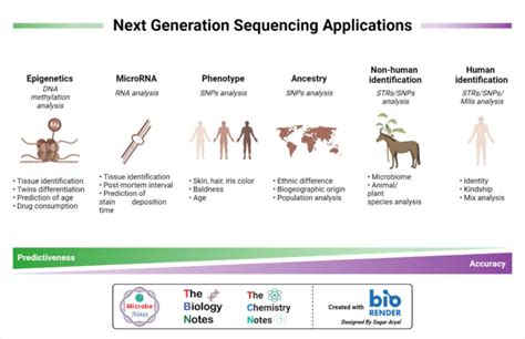 Next Generation Sequencing Ngs Principle Types Uses