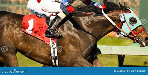 One Horse Rider Jockey Come Across Race Line Photo Finish Stock Photo