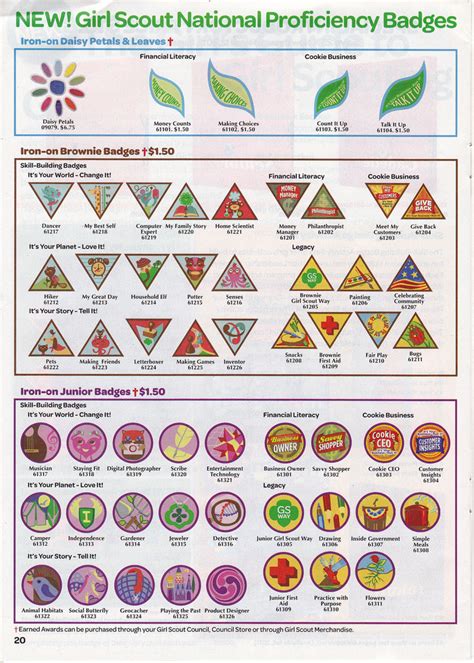 Girl Scout Troop 2447 New Badges