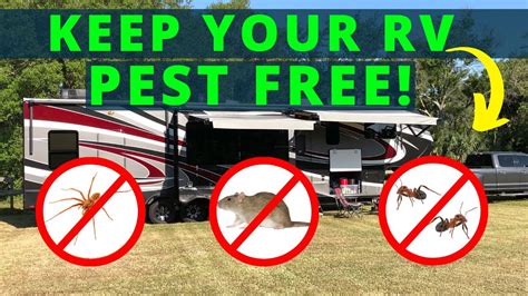 Rv Pest Control Avoid Rodents Bugs Spiders Youtube