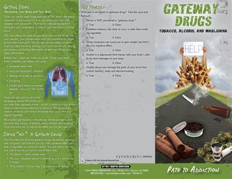 Gateway Drugs Path To Addiction Pamphlet Primo Prevention