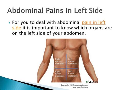 Organ Pain In Left Side Of Back Lower Left Back Pain