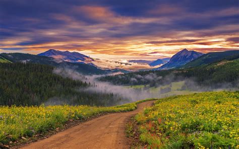Nature Landscape Sunset Wildflowers Valley Road Forest Mountain