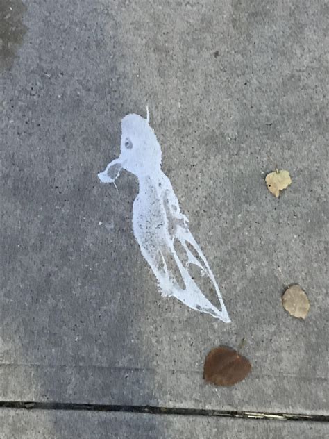 This Bird Poop Looks Like A Bird Rmildlyinteresting
