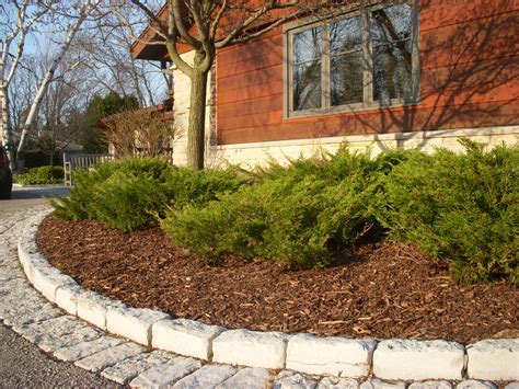 Black polished pebbles brighten up plant pots and go perfectly picture kindly supplied by andrew hart. Nice Landscaping Bark #3 Landscaping With Bark Mulch ...