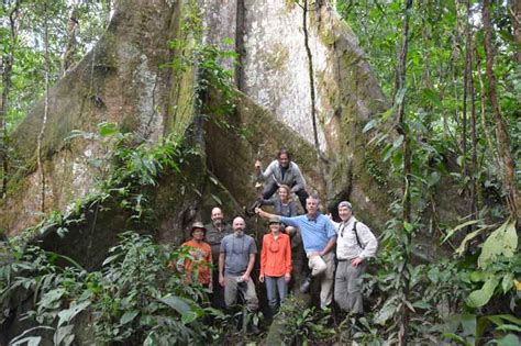 Amazon Rainforest Custom Trips In The Amazon South America Adventure