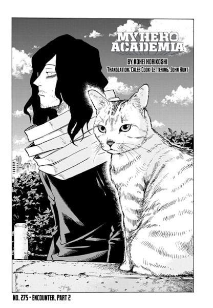 Is It Ever Actually States That Aizawa Loves And Has Many Cats Or Is