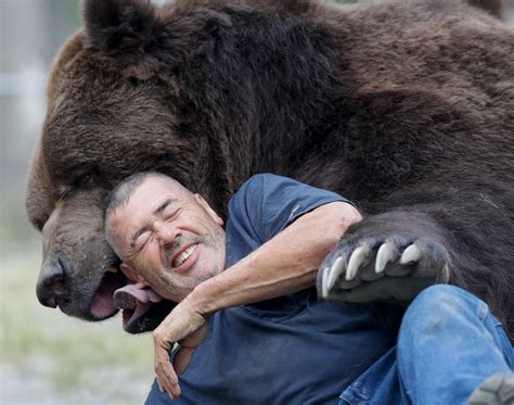 Big Bear Hugs Attract Social Media Attention