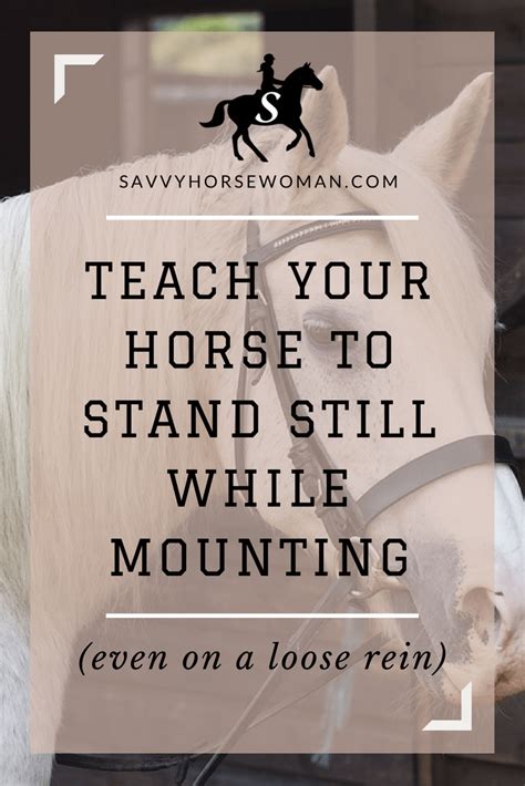Teach Your Horse To Stand Still While Mounting Savvy Horsewoman