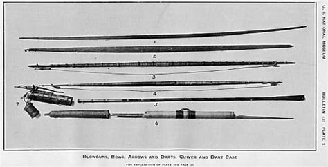 Bow out and blow are semantically related. The Collection of Primitive Weapons and Armor of the ...