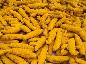 Turmeric Finger In Delhi Manufacturers And Suppliers India