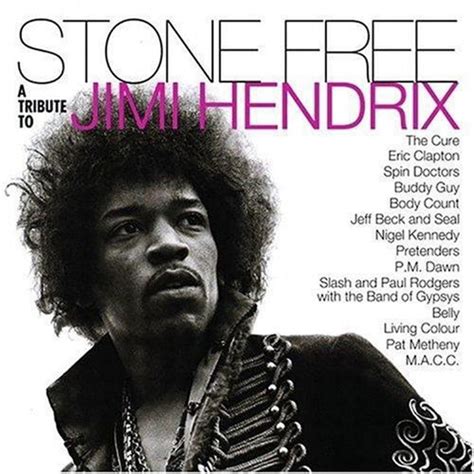 Stone Freea Tribute To Jimi Hendrix 2 Lp Vinilo · Warner Records