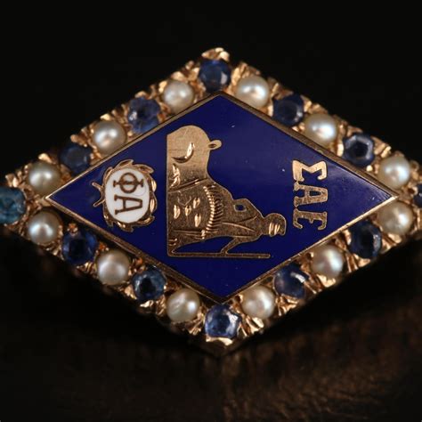 10k Sigma Alpha Epsilon Fraternity Sapphire Seed Pearl And Enamel Pin Ebth