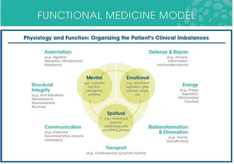 Functional Medicine The Ultimate Misnomer In The World Of Integrative