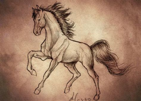 9+ Horse Sketches | Free & Premium Templates