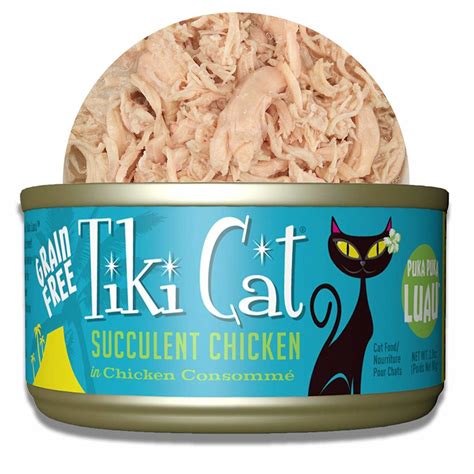 Best Cheap And Affordable Wet Cat Food Brands Ipetcompanion