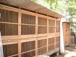 Sedangkan harga ayam bangkok birma jenis betina yang di jual di thailand memiliki harga yang lebih tinggi sekitar rp. Kandang Umbaran Ayam Bangkok Aduan Terbaik - Tilunk.Com