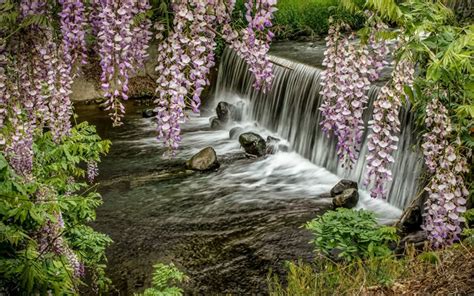 Download Wallpapers Waterfall River Spring Flowers Mountain River