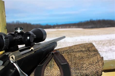 Top 10 Coyote Hunting Rifles Including Price And Specs Backfire