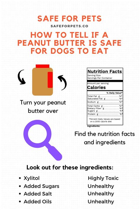 How To Tell If A Peanut Butter Is Safe For Dogs To Eat Can Dogs Eat