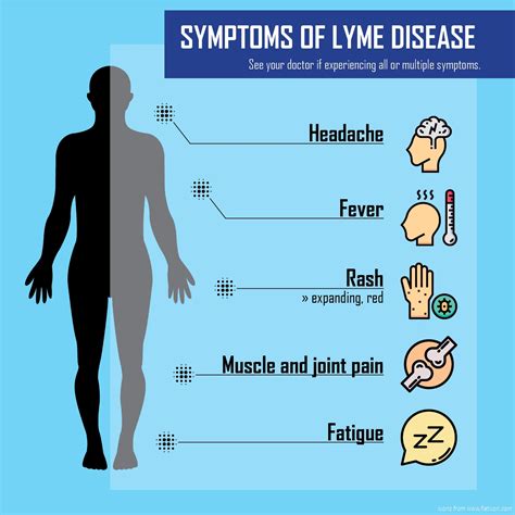 can you get tested for lyme disease at urgent care lynn beyersdorf