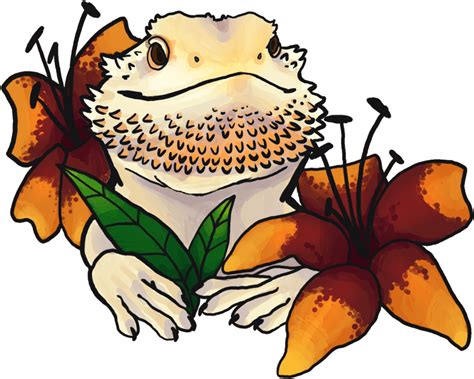 Bearded Dragon Background Png Png All Png All