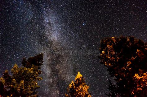 Milky Way Night Sky View With Illuminated Trees In Crater Lake N Stock