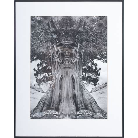 Jerry Uelsmann Signed Tree Of Life Poster Cowans Auction House The