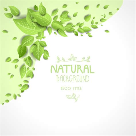 Beautiful Green Leaves Natural Background Vector Vectors Graphic Art